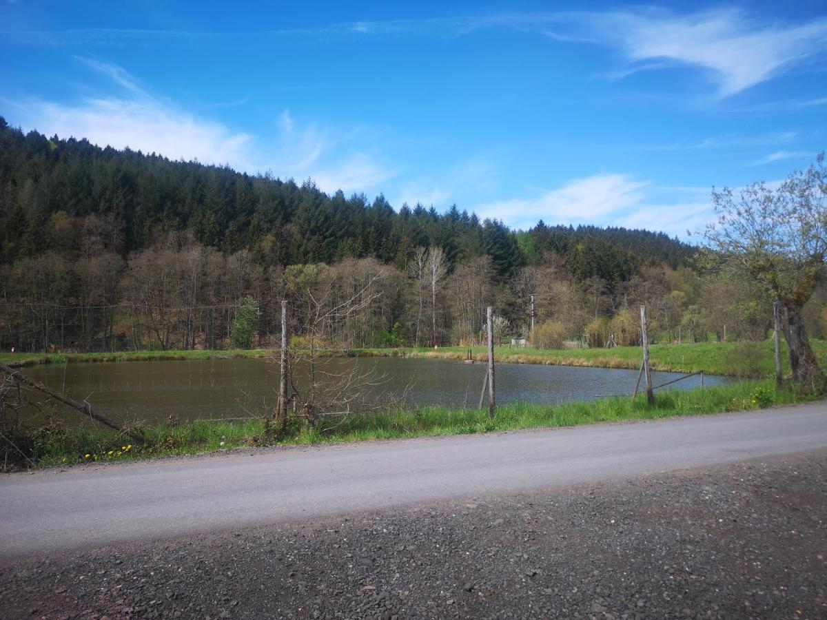 Ferienhaus Salmtal Himmerod Großlittgen エクステリア 写真