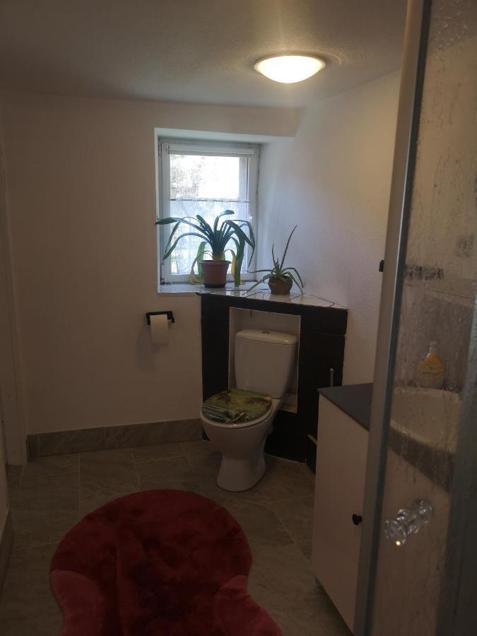 Ferienhaus Salmtal Himmerod Großlittgen エクステリア 写真