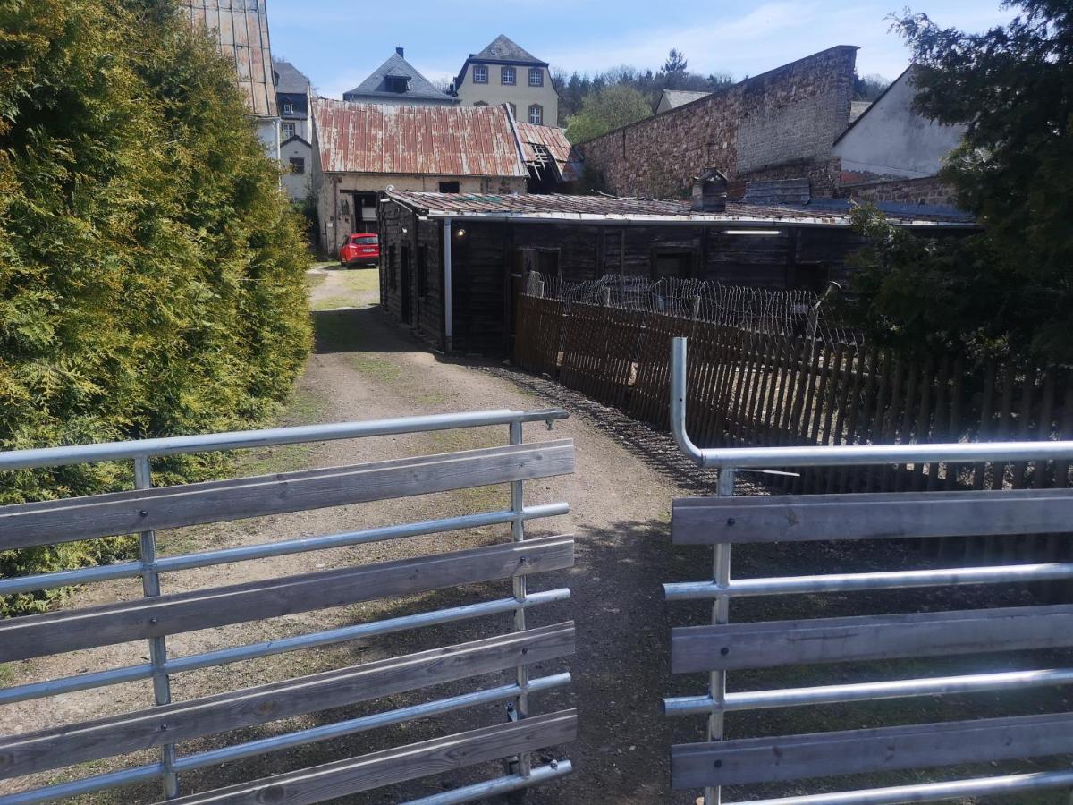 Ferienhaus Salmtal Himmerod Großlittgen エクステリア 写真