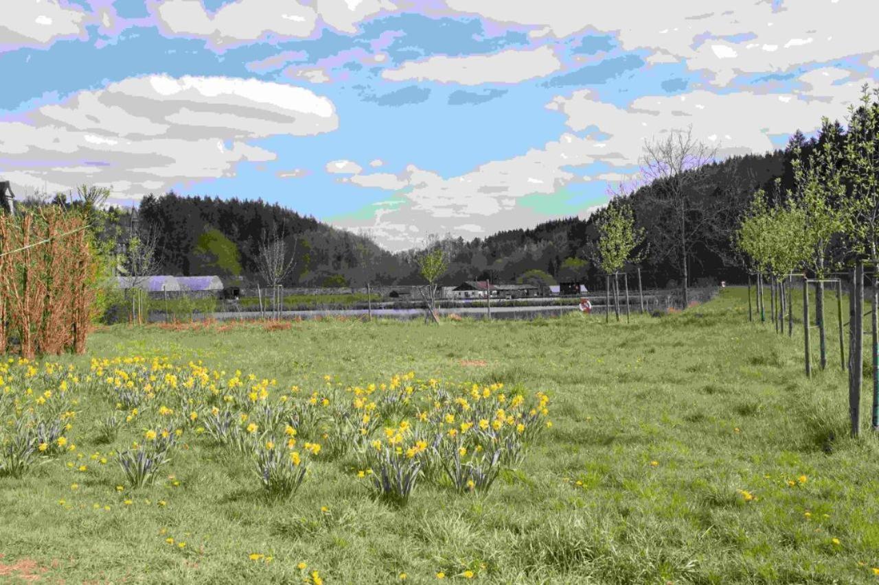 Ferienhaus Salmtal Himmerod Großlittgen エクステリア 写真