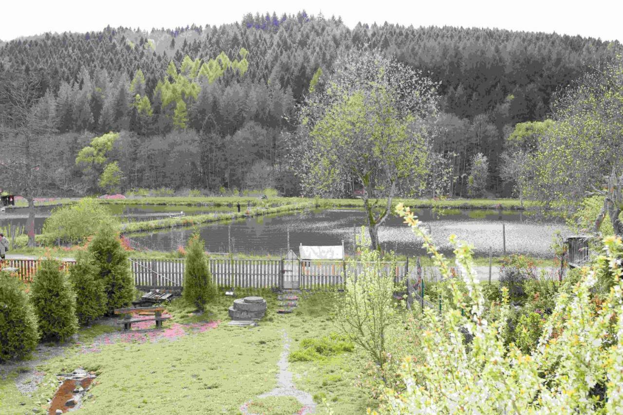 Ferienhaus Salmtal Himmerod Großlittgen エクステリア 写真
