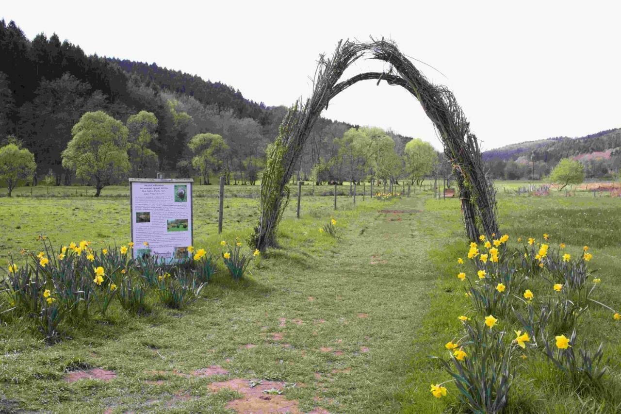 Ferienhaus Salmtal Himmerod Großlittgen エクステリア 写真