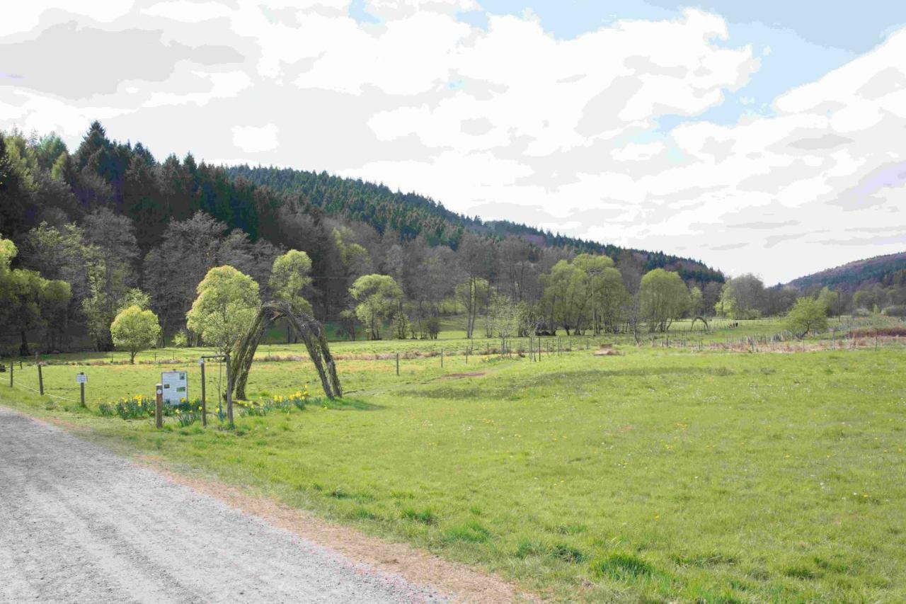 Ferienhaus Salmtal Himmerod Großlittgen エクステリア 写真